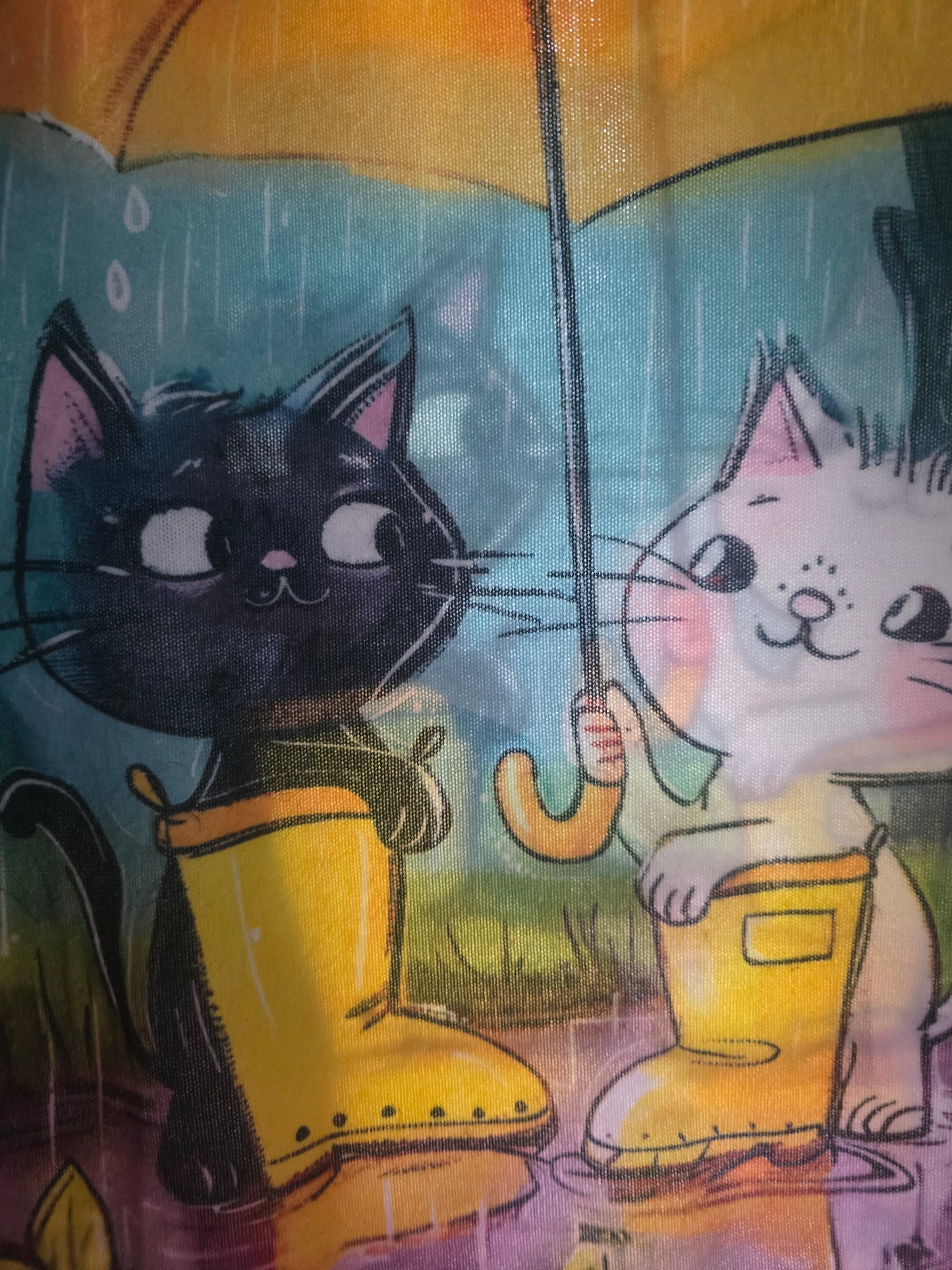 Pull chats sous la pluie