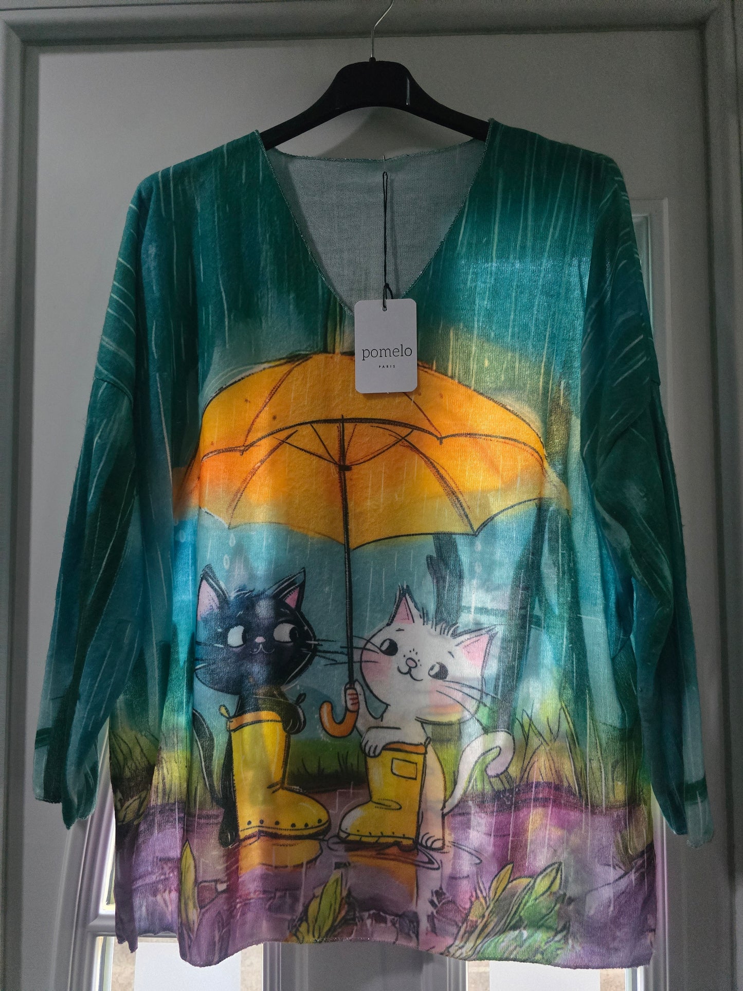 Pull chats sous la pluie